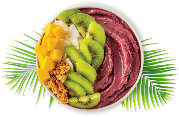 Organic Acai Traditional Blend Scoopable Tub